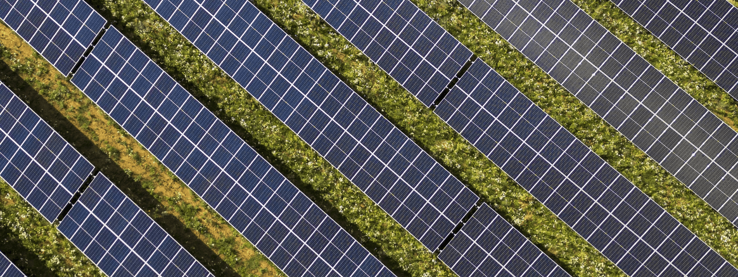Top down view of a solar panel farm