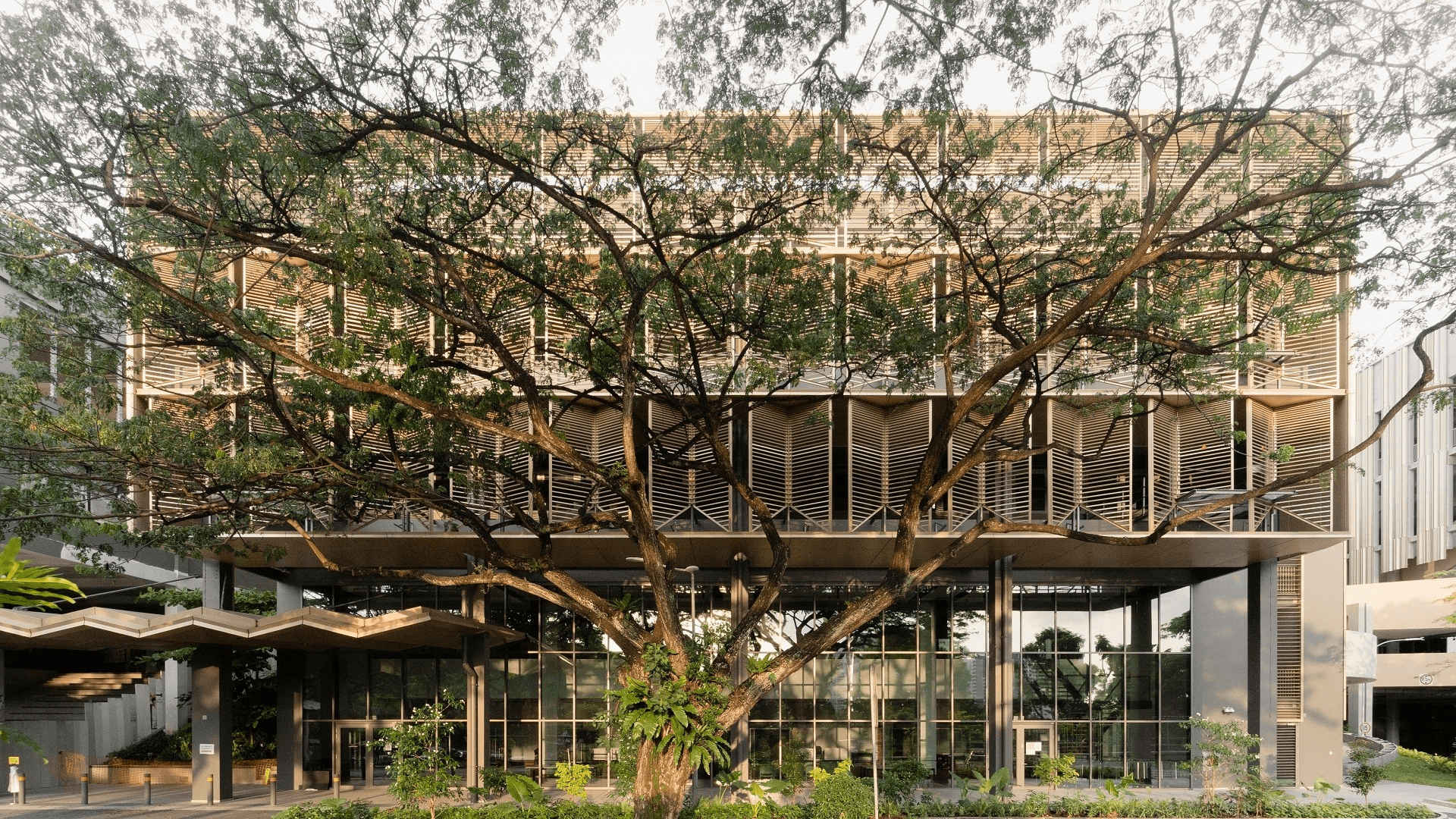NUS School of Design