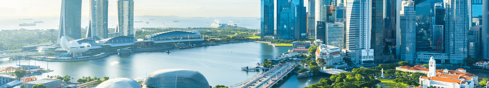 Image of Singapore's skyline from a skyscraper.