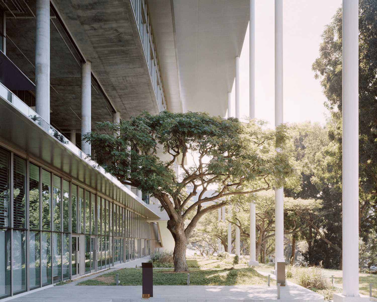 NUS School of Design