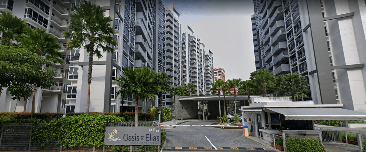Oasis
