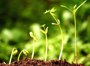 Agro – Industry